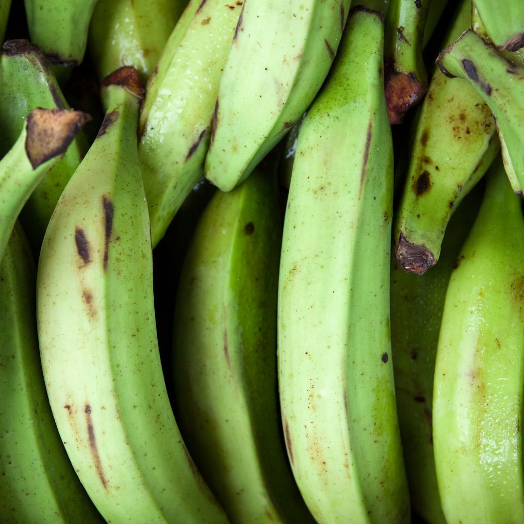 green plantain is great for weight loss
