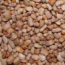 oloyin- beans- brown