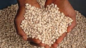 black eyed beans- white beans-Nigeria